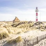 Apartamento In Near The
