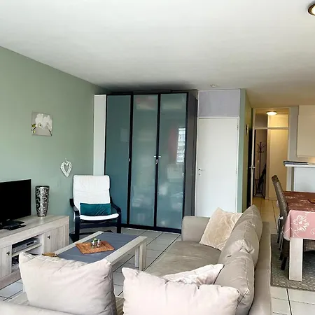Apartamento In Near The Nieuwpoort
