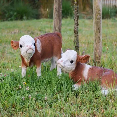 Apartamento In Near The *