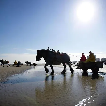 In Near The Apartamento Nieuwpoort