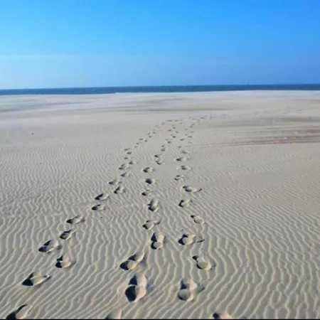 Apartamento In Near The *