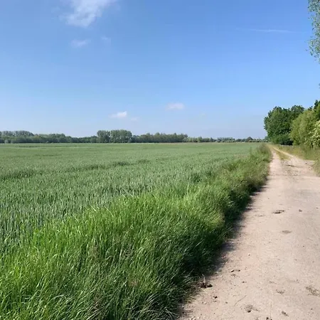 In Near The Apartamento Nieuwpoort