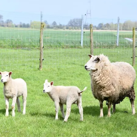 In Near The Nieuwpoort